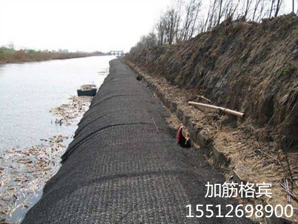 timg145545_副本.jpg timg145545_副本.jpg